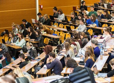 Fiche formation : tout savoir sur la licence AES 