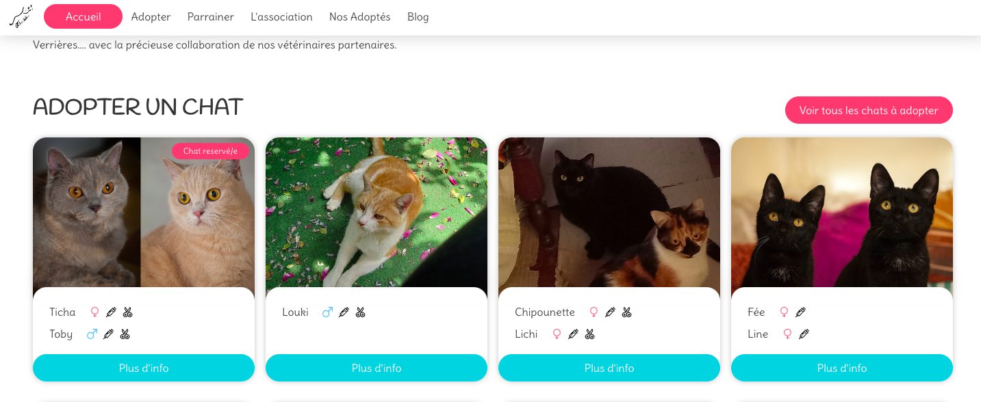 (Image) Interface du site de la Voie FĂ©line, oĂč l'on voit les chats Ă l'adoption