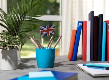 Les adjectifs démonstratifs en anglais 