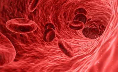 Tout savoir sur le système immunitaire humain 