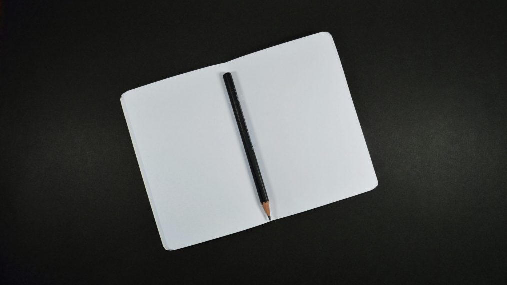 Carnet de lecture bac français