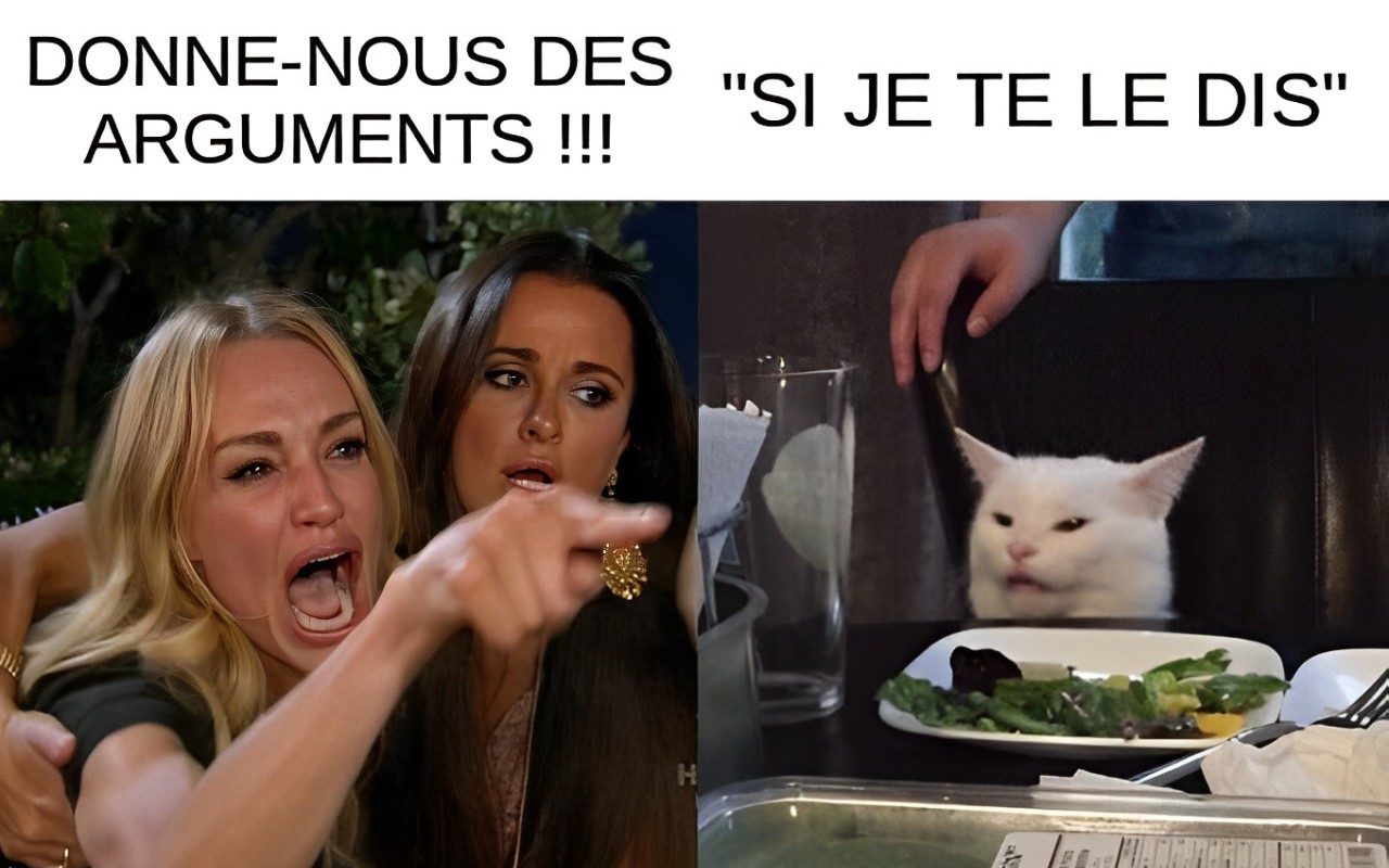 Une femme crie sur un chat.
