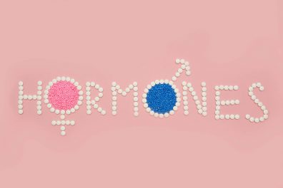 Le rôle et les effets des hormones sexuelles sur le corps humain ️️