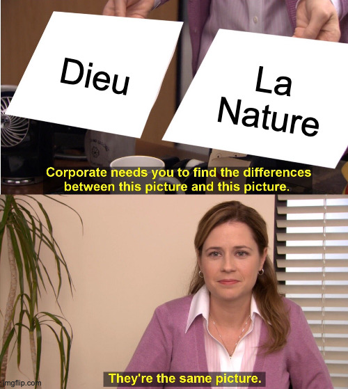 meme sur spinoza issu de The Office "Dieu/ La nature
c'est la même photo"