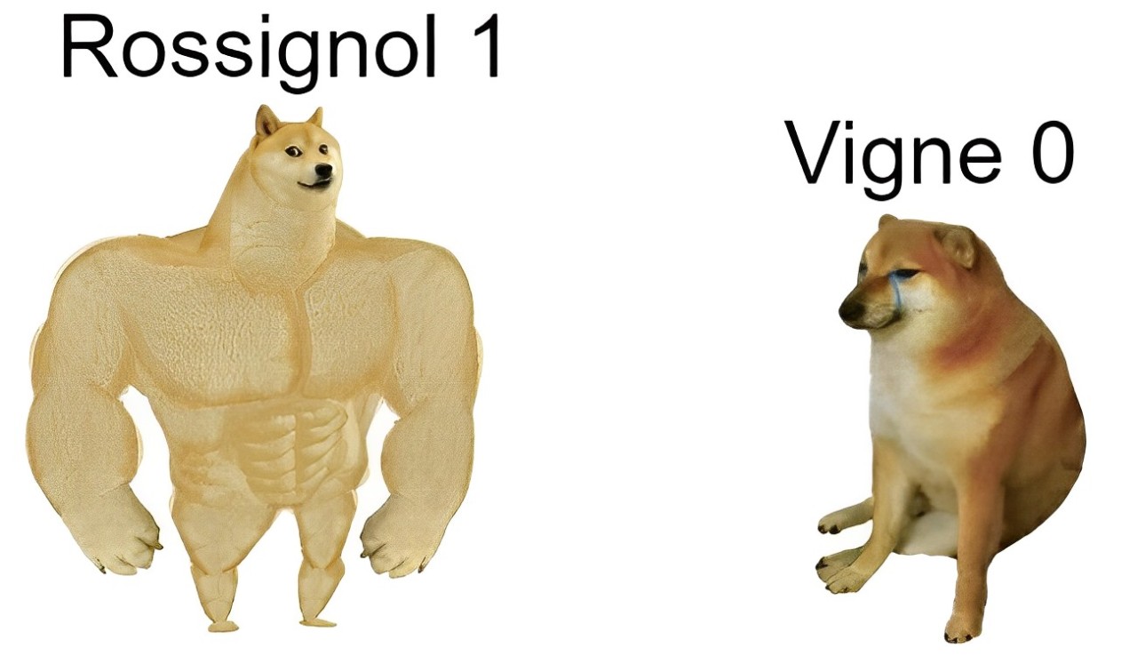 Un mème Internet sur la fin des Vrilles de la vigne.