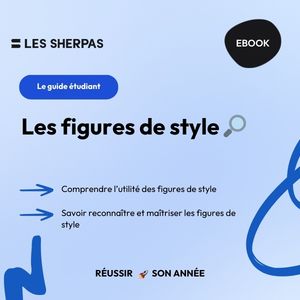 guide figures de style