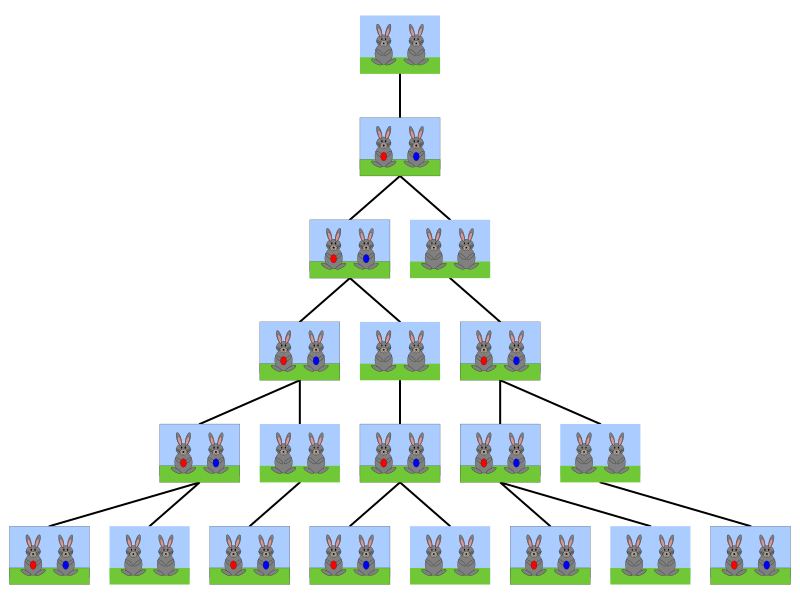 L'exemple des couples de lapins de Fibonacci.