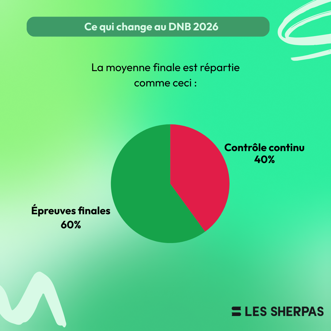 infographie DNB