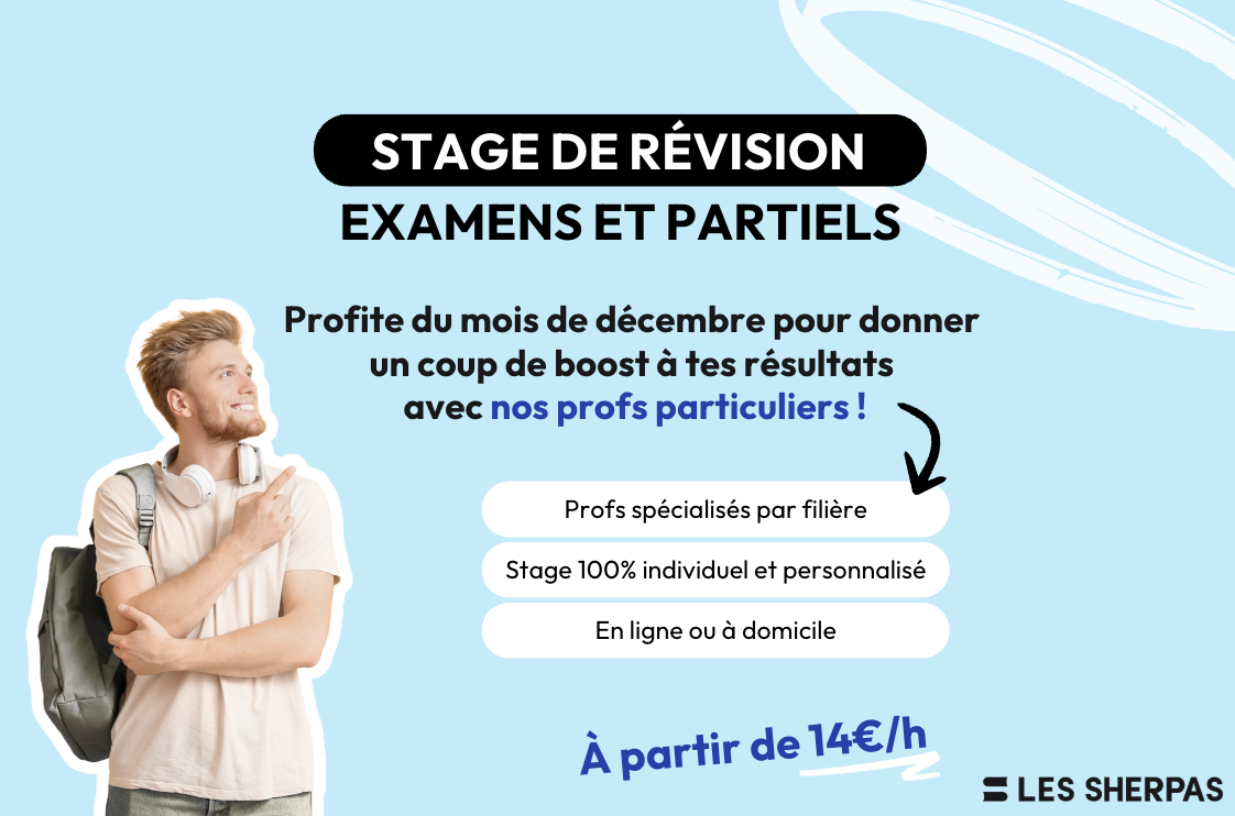 ❄️ Et si tes vacances devenaient ta meilleure stratégie pour réussir tes partiels ?