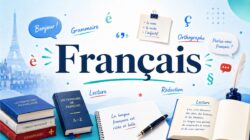 Genre et nombre en français : guide pratique