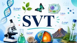 Programme de SVT au collège et au lycée