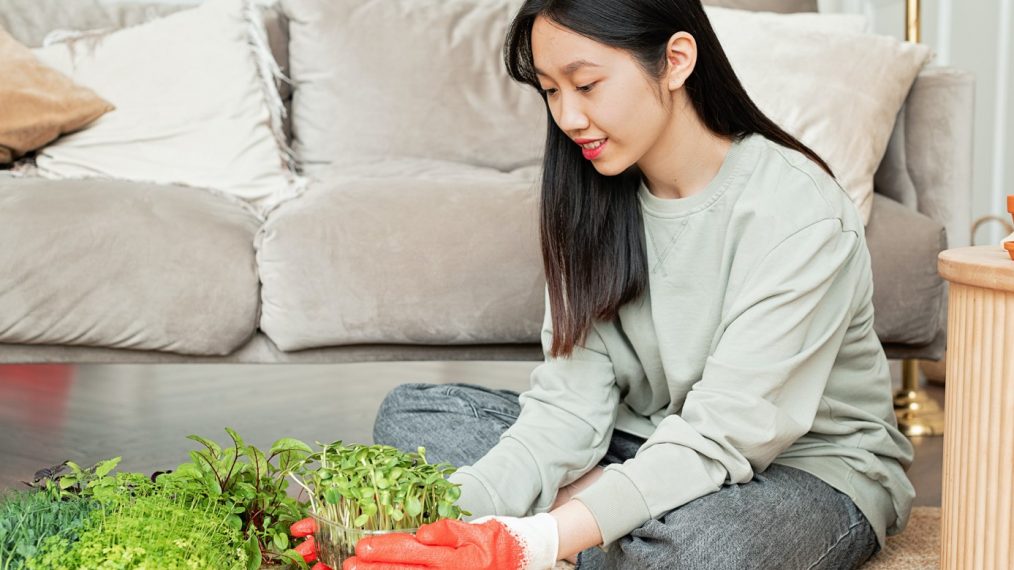 comment sensibiliser son enfant à l'écologie couv