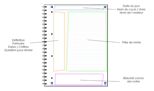 screen schema méthode Cornell
