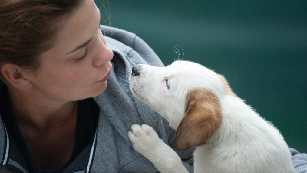 Adopter un animal de compagnie : comment responsabiliser votre enfant ?