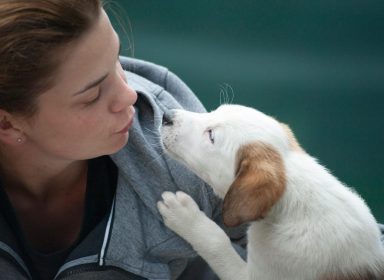 Adopter un animal de compagnie : comment responsabiliser votre enfant ? 