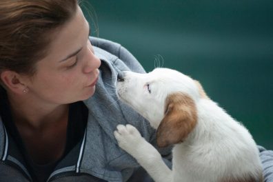 Adopter un animal de compagnie : comment responsabiliser votre enfant ? 