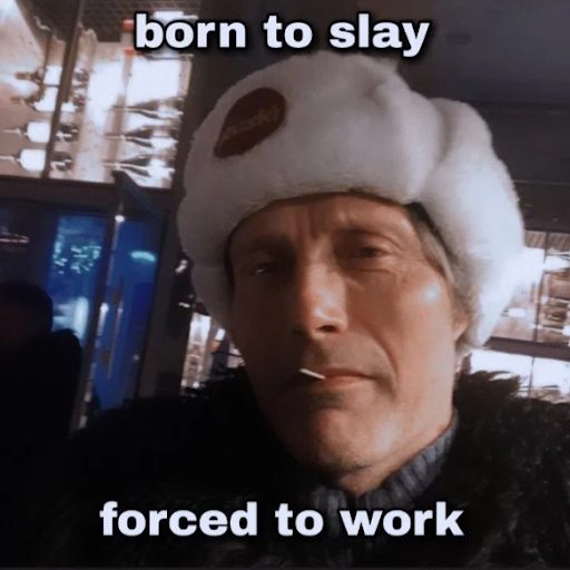 mÚme internet avec écrit : born to slay, forced to work