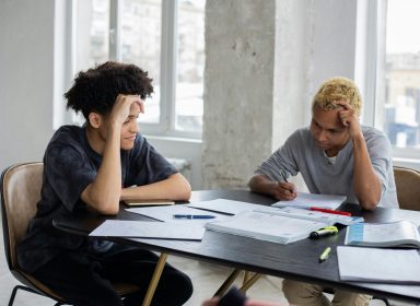 La classe prépa-seconde : tout savoir ! 