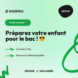Guide coaching : préparez votre enfant pour le bac ! 😎