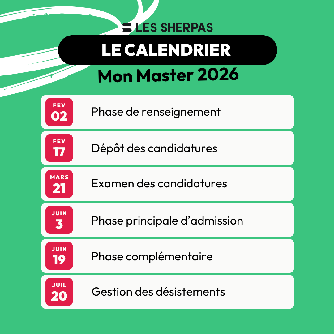 infographie sur mon master