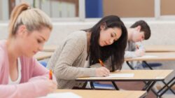 Mon enfant répond-il aux attendus de l’examen ? Ce qui compte selon le format d’épreuve