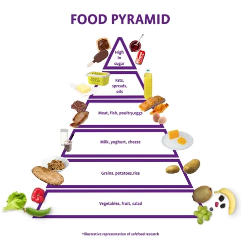 Pyramide de l'alimentation